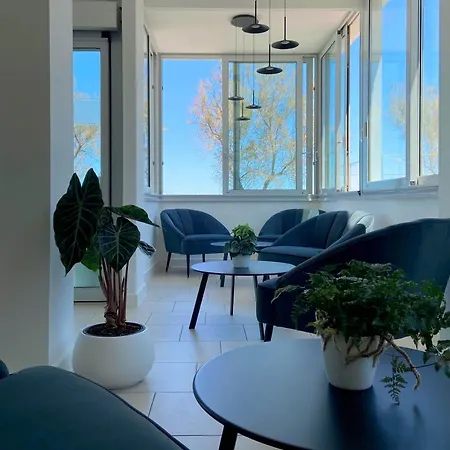 Sayonara سينِغاليا